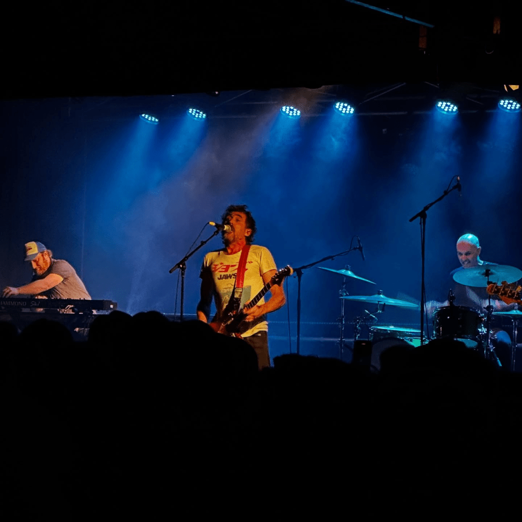 The Drones performing on stage in Melbourne.